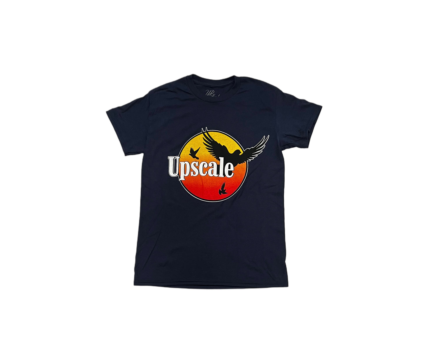 Upscale Bird in the Sky